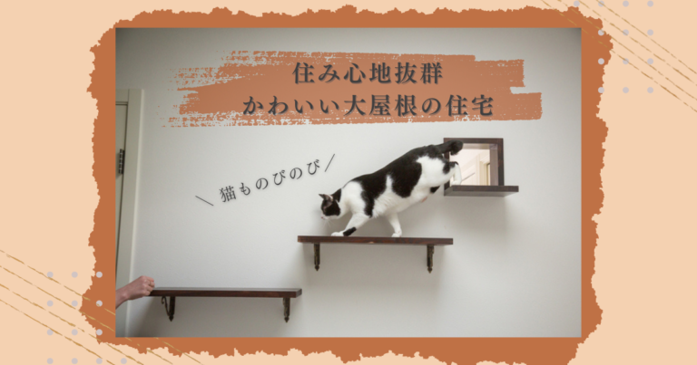 猫ものびのび住み心地抜群、かわいい大屋根の住宅